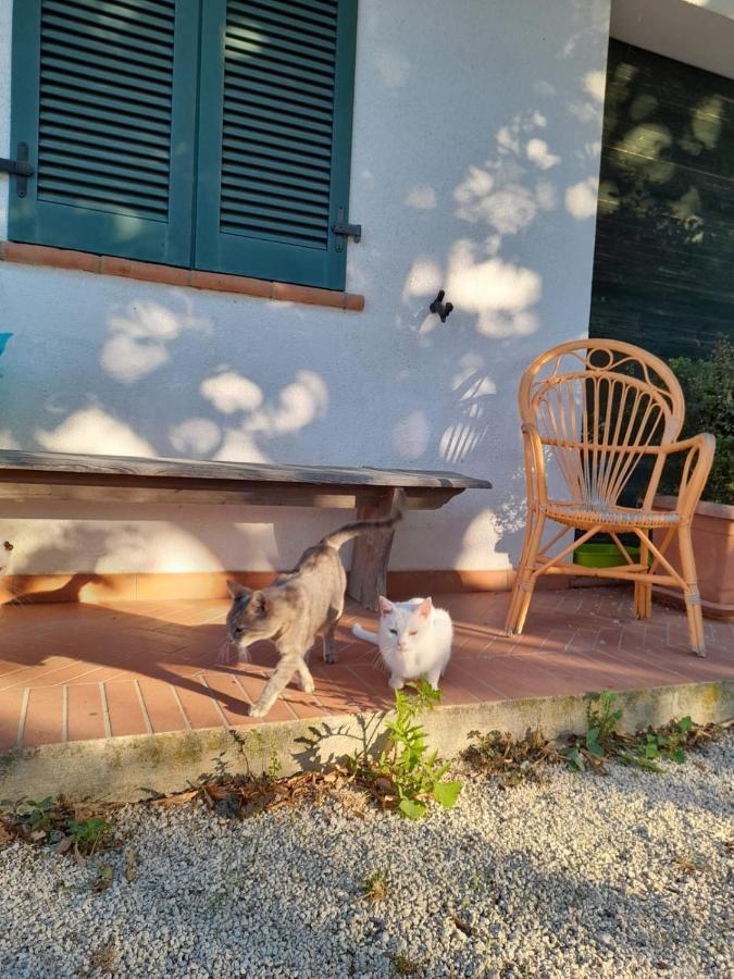8380 Il Tiglio Apartment Manciano